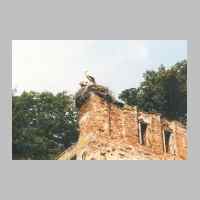 022-1025 Goldbach 1998. Die Familie Adebar hat die Turmreste dankbar in Besitz genommen..jpg